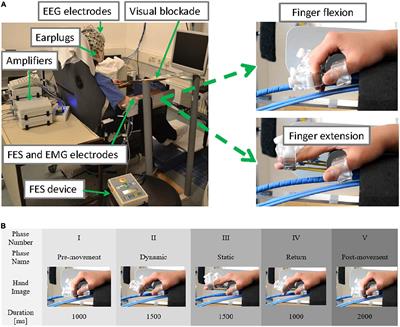 Cortical processing during robot and functional electrical stimulation